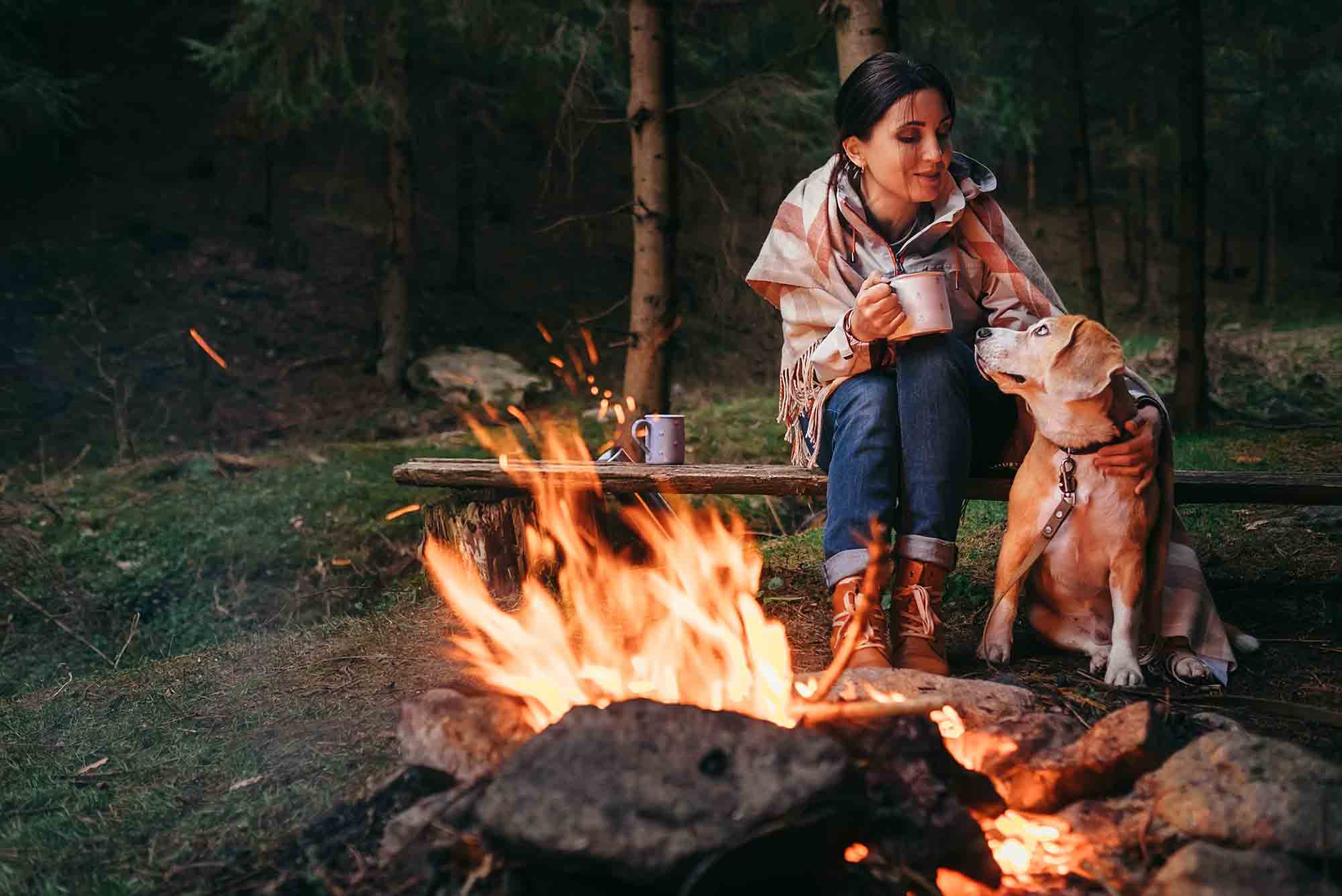 Camping outdoors with your dog is a great way to bond with pets